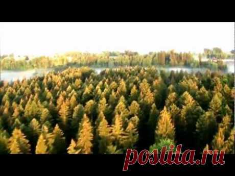 Chris Rea - And You My Love (HD)