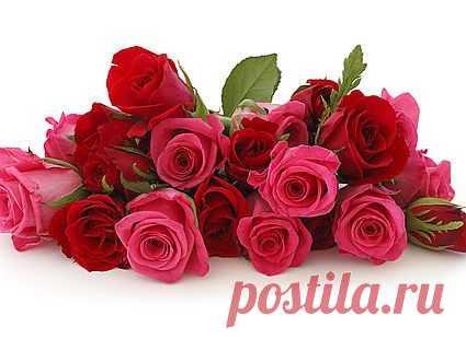 Как уезжал Буба Касторский