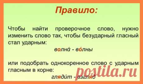 Безударная гласная в корне, проверяемая ударением слова. Безударные гласные