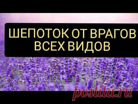 Шепоток от врагов. Заговор от врагов | Самир Али |