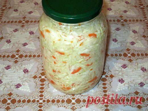Рецепты квашеной капусты быстрого приготовления: давай сделаем это по-быстрому! | Ваш кулинарный путеводитель
