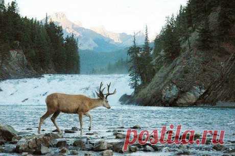 Наши странности | Human psychology