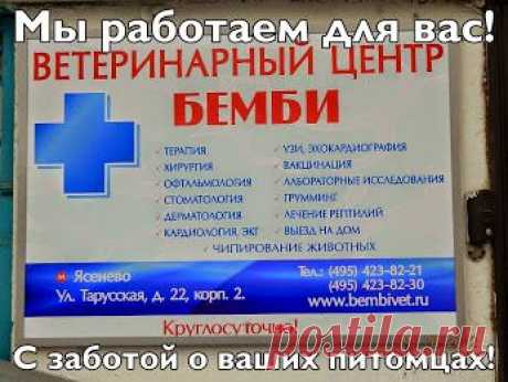 Наш центральный офис..улица Цюрупы дом 3