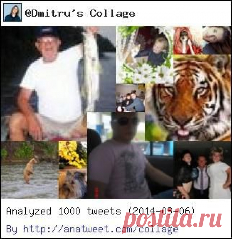 Дмитрий и фото авто (Dmitru) в Твиттере