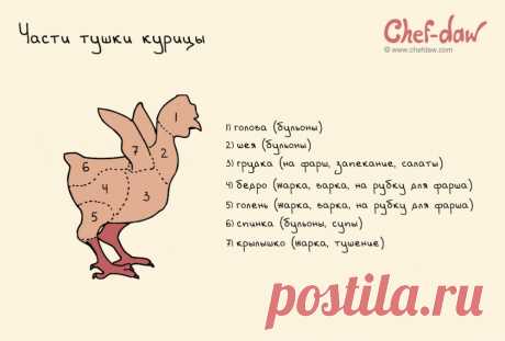20 шпаргалок, которые пригодятся на кухне