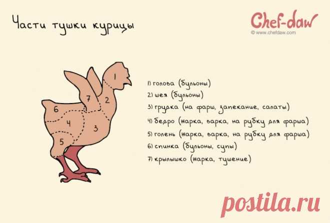 20 шпаргалок, которые пригодятся на кухне