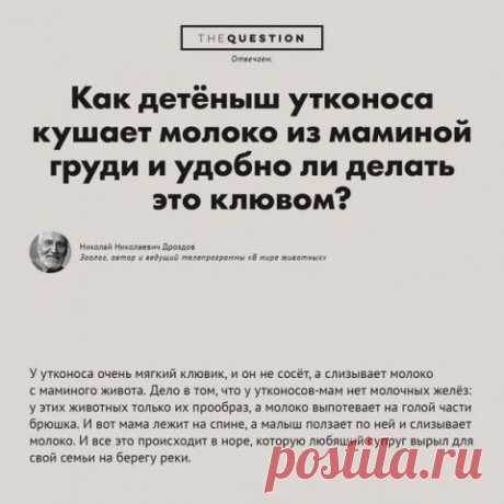 Умники и умницы