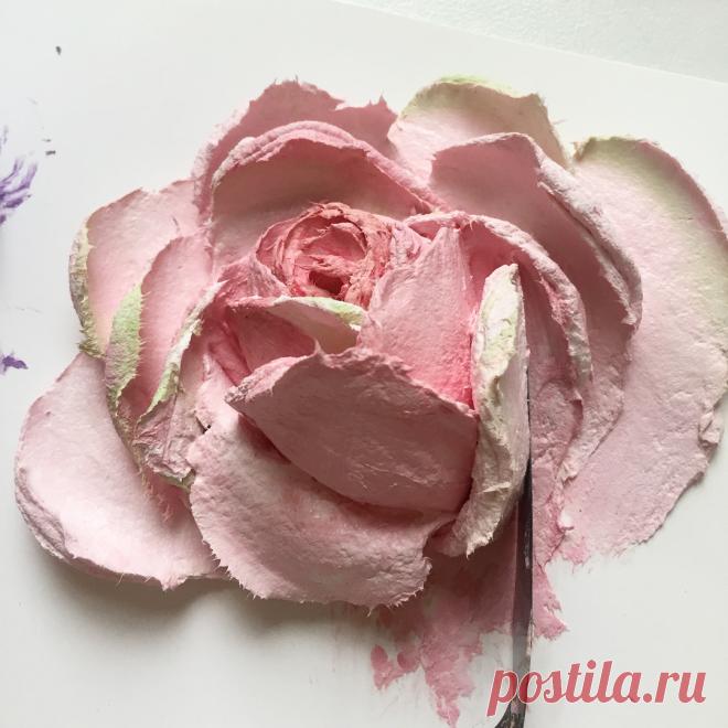 Студия «Афина