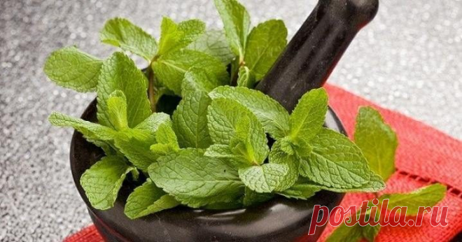 5 ароматов, способных исцелять