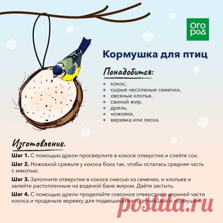 Кормушка для птиц из кокоса