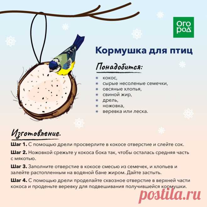 Кормушка для птиц из кокоса