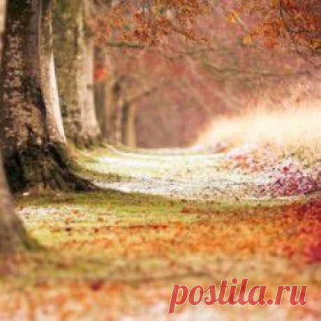 Осень | Golbis
