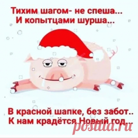 100% юмор, смешные анекдоты и разные приколы! – Google+