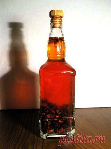 Домашний рецепт кедровой настойки на водке (самогоне, спирте)