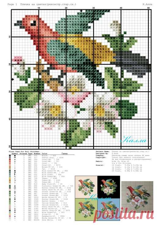 (14) Gallery.ru / Foto #17 - Aves (miniesquemas de hasta 100x100 celdas) - Kalla