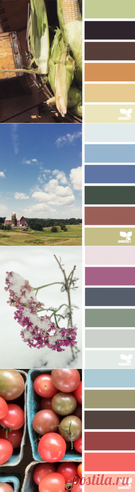 design seeds | for all who ♥ color