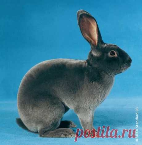 страницы которые создавались константина валерьевича сосницкого краснодар: 10 тыс изображений найдено в Яндекс.Картинках