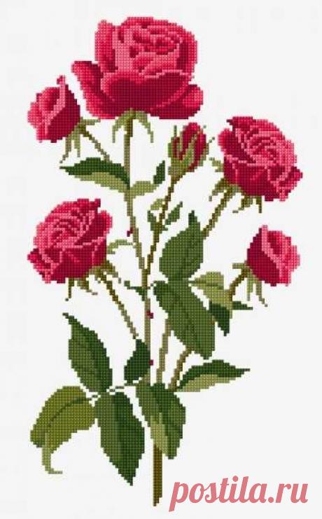 Вышивка розы крестиком