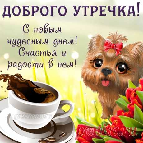 Доброго и прекрасного! Пусть день начнется с улыбки и хорошего настроения!