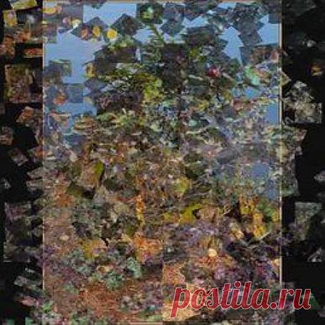 Интересные новости