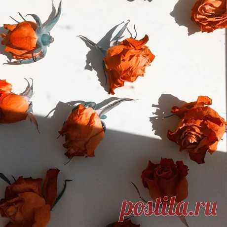 Photo by Обожаю Быть Женщиной on May 03, 2020. На изображении может находиться: 1 человек, цветок