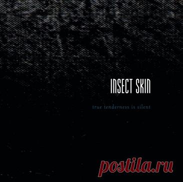 Insect Skin - True Tenderness Is Silent (2025) 320kbps / FLAC