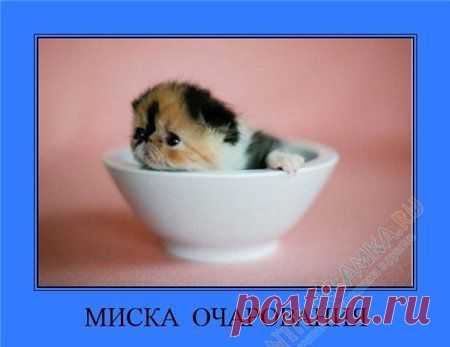 Малышка