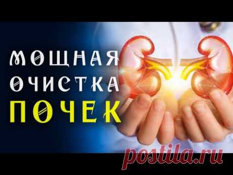 Очень редкая Матрица Гаряева для Очищения Почек ☀️ Квантовое исцеление звуком