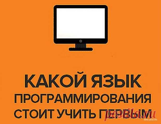 Не знаете с какого языка начать изучать программирование? Данная инфографика поможет Вам