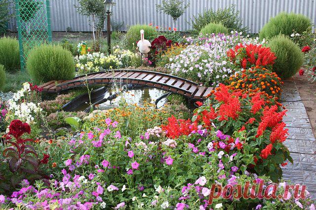 ОФОРМЛЕНИЕ ЦВЕТНИКА. | Новая цивилизация