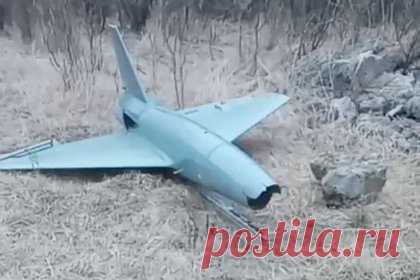 Росгвардия показала на видео перехваченный в ДНР британский дрон-камикадзе. Росгвардия показала на видео перехваченный в Новоазовском районе Донецкой народной республики (ДНР) британский реактивный дрон-камикадзе Banshee Jet-80. На кадрах, снятых силовиками, британский дрон находится в частично разобранном состоянии. Видно, что носовая часть отделена от основной.