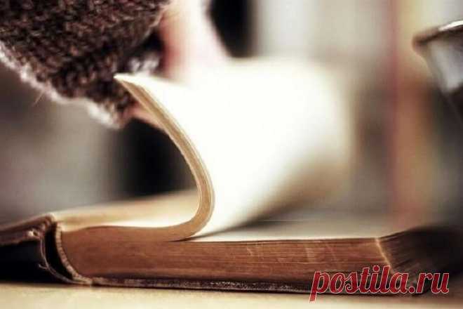 7 книг, которые читаются за вечер, а в памяти остаются навсегда — Жизнь под Лампой!