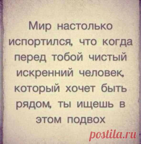 Новости