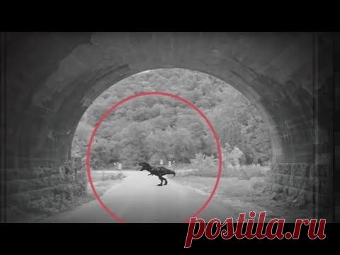 ТОП 5 "РЕАЛЬНО" СНЯТЫХ ДИНОЗАВРОВ НА КАМЕРУ - YouTube
