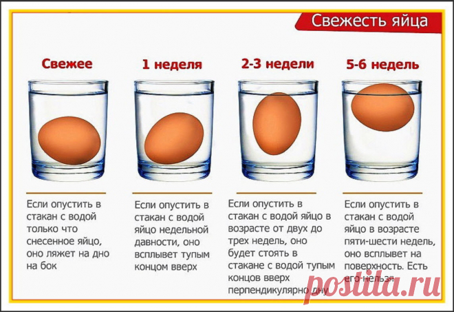 Определяем свежесть яйца