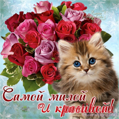 Стена