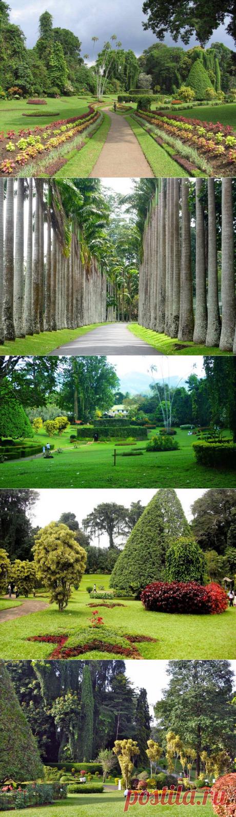 Королевский Ботанический Сад, Шри-Ланка