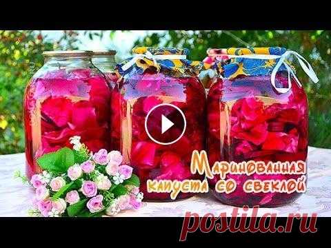 Маринованная капуста со свеклой на зиму Маринованная капуста со свеклой быстрого приготовления - лучшая сезонная закуска. Подробности читайте:...