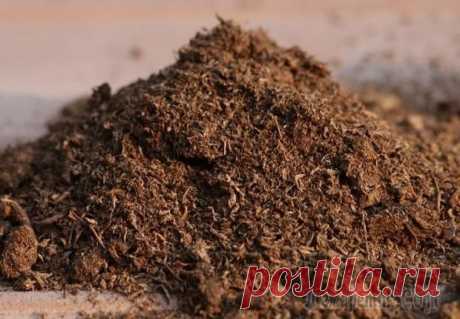 Укрытия деревьев и кустарников на зиму, которые могут погубить растения