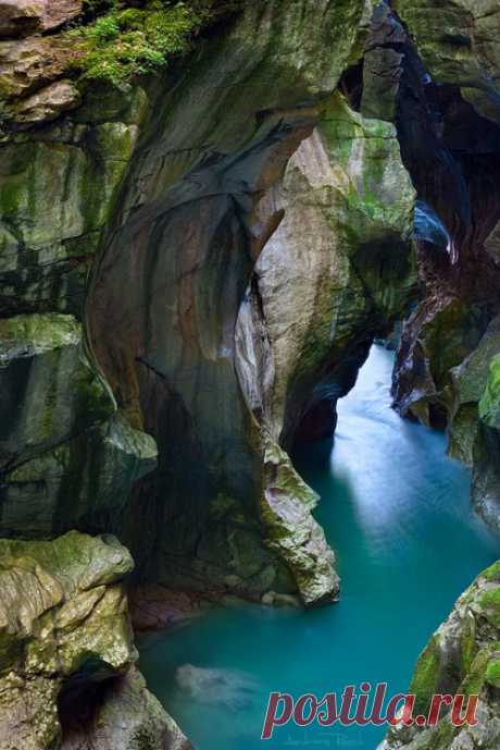 Superb Nature