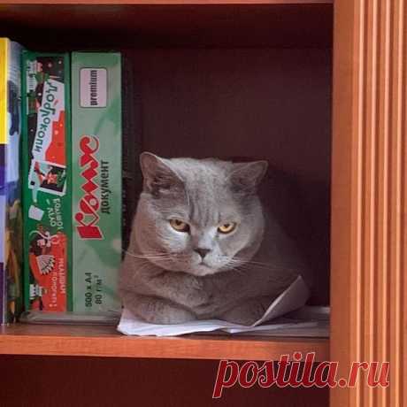Печалька...