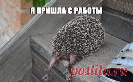 Женская доля