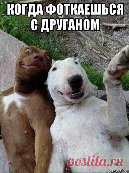 Немного юмора