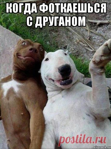 Немного юмора