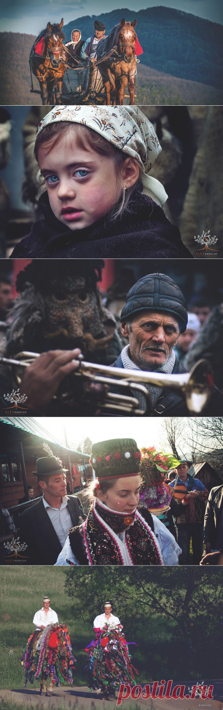 Как живут земляки графа Дракулы в ХХІ веке 

Вы знаете, гда находится Трансильвания? Правильно, в Румынии. И даже скорее всего знаете, что там когда то жил легендарный «Граф Дракула» — князь Валахии Влад Цепеш, живший в XV столетии и популяризированный писателем Бремом Стокером в романе «Дракула».