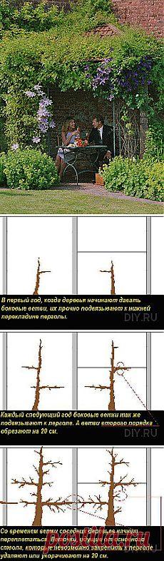 Необычный вариант сооружения пергол и беседок.