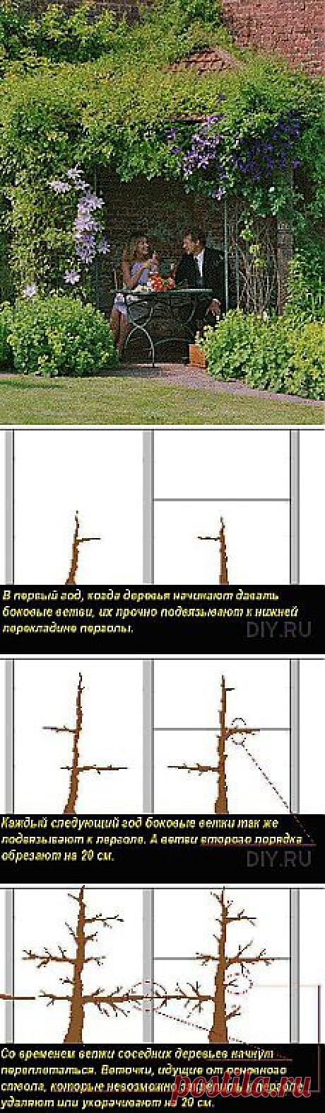 Необычный вариант сооружения пергол и беседок.