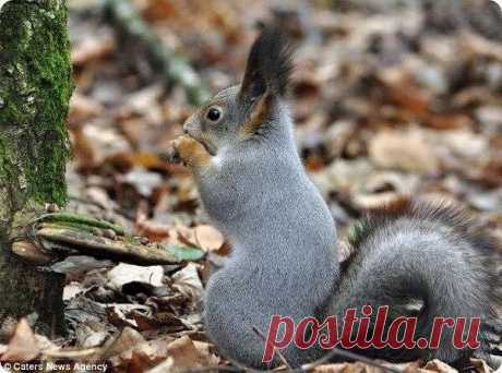 МИР ПОЗДРАВЛЕНИЙ И ОТКРЫТОК...
Лариса Щербакова (Кузнецова)