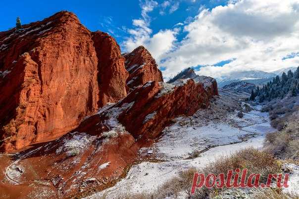 Около озера Иссык-Куль, Киргизия. Автор фото: Алексей Пехтерев.