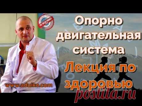 Опорно двигательная система - Лекция по здоровью